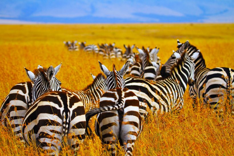 pawan-sharma-XexNwsGiHwY-unsplash